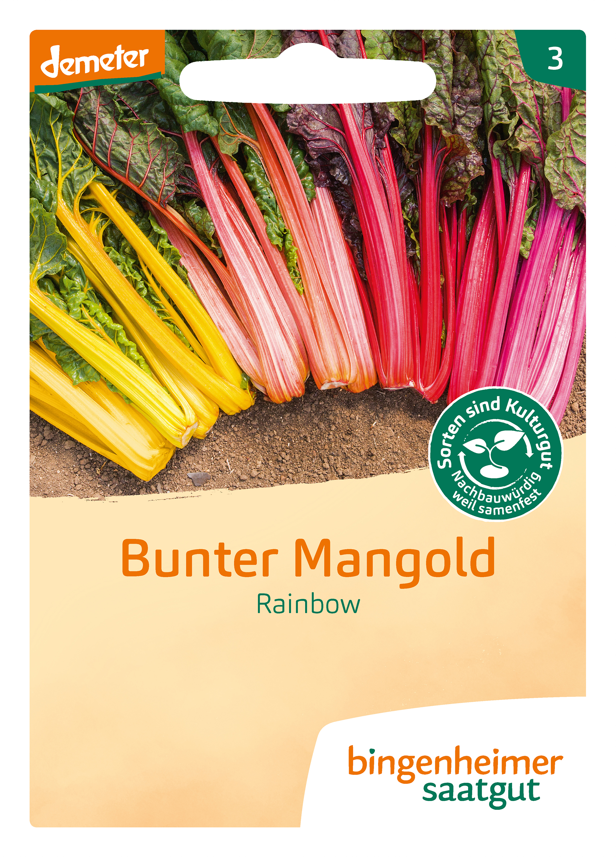 Mangold Rainbow