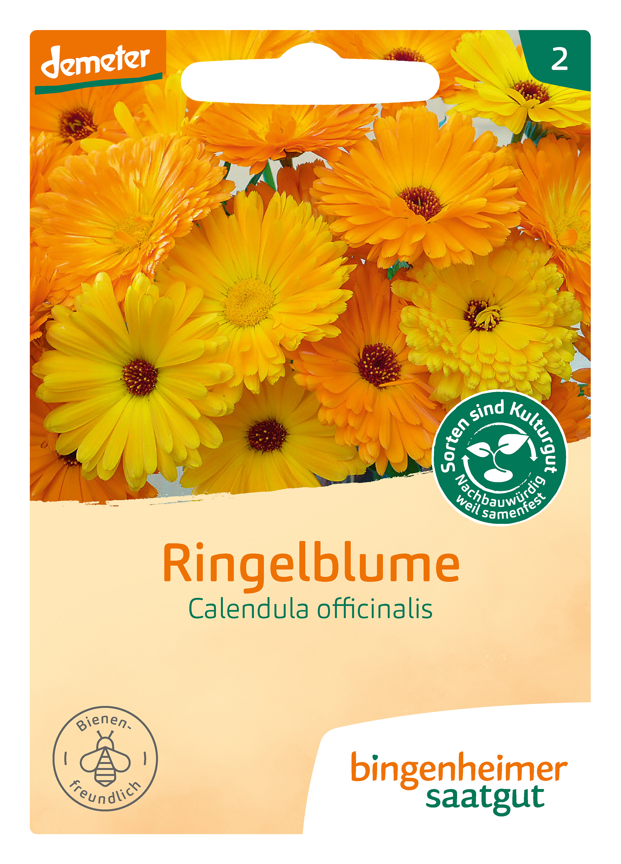 Ringelblume