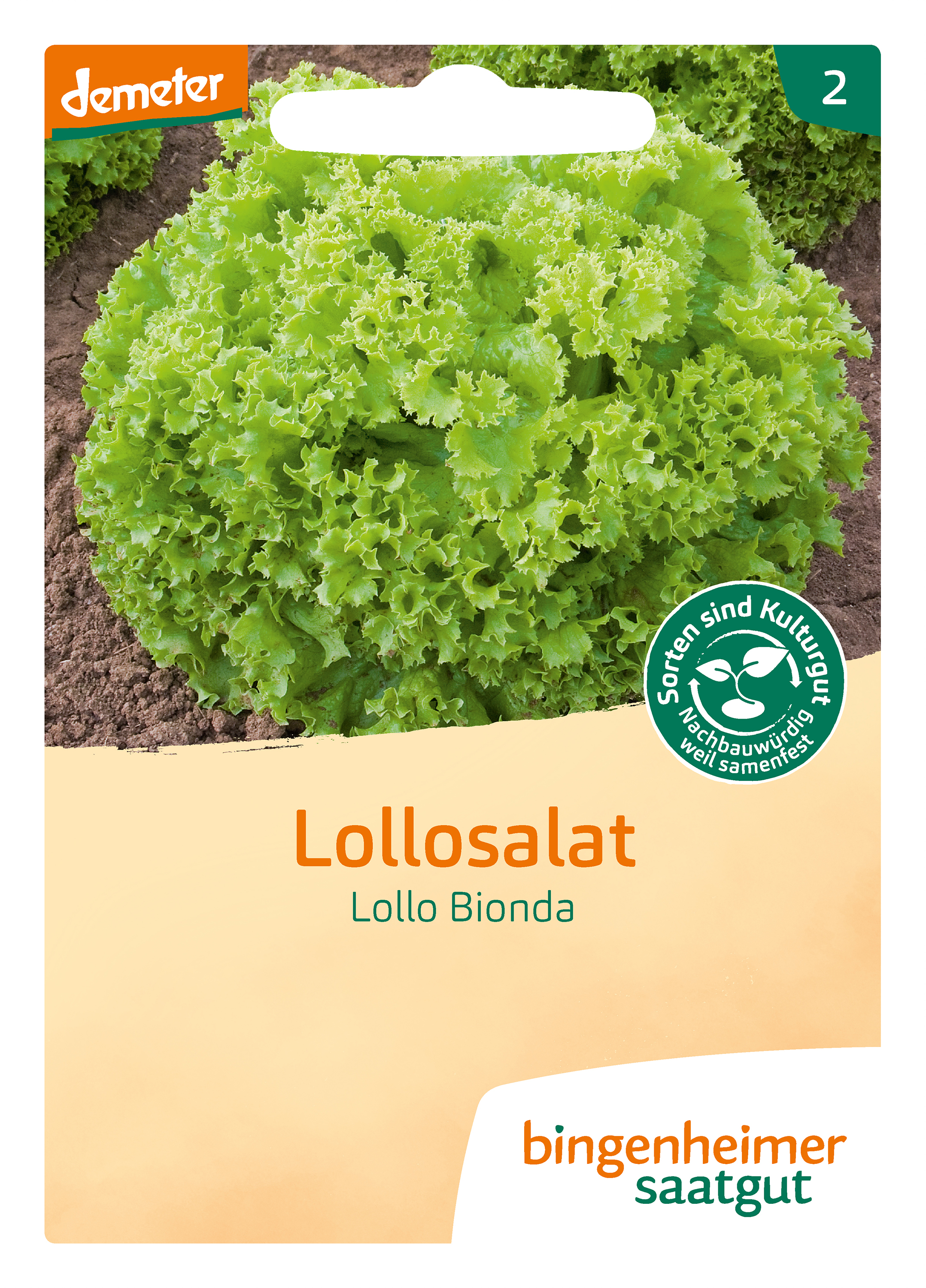 Lollosalat L. Bionda