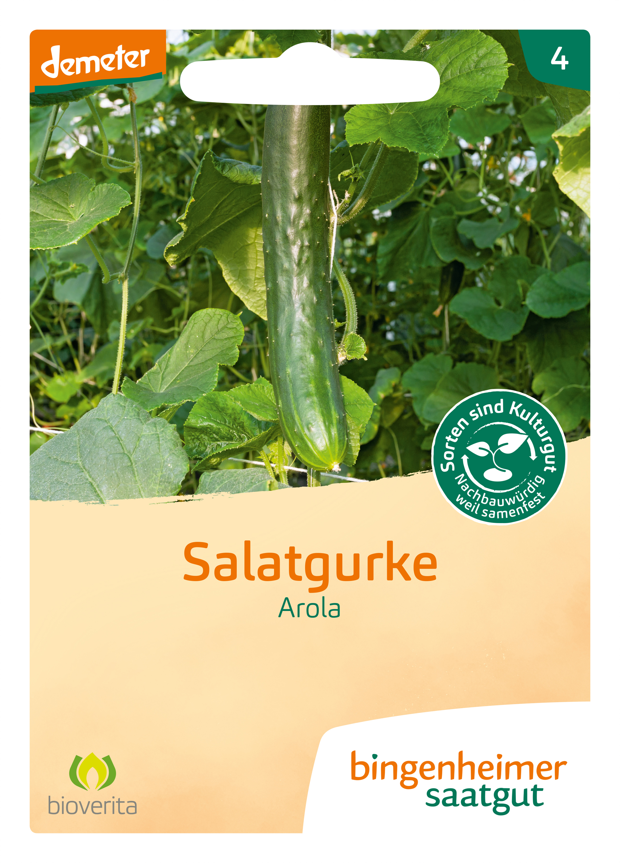 Salatgurke Arola