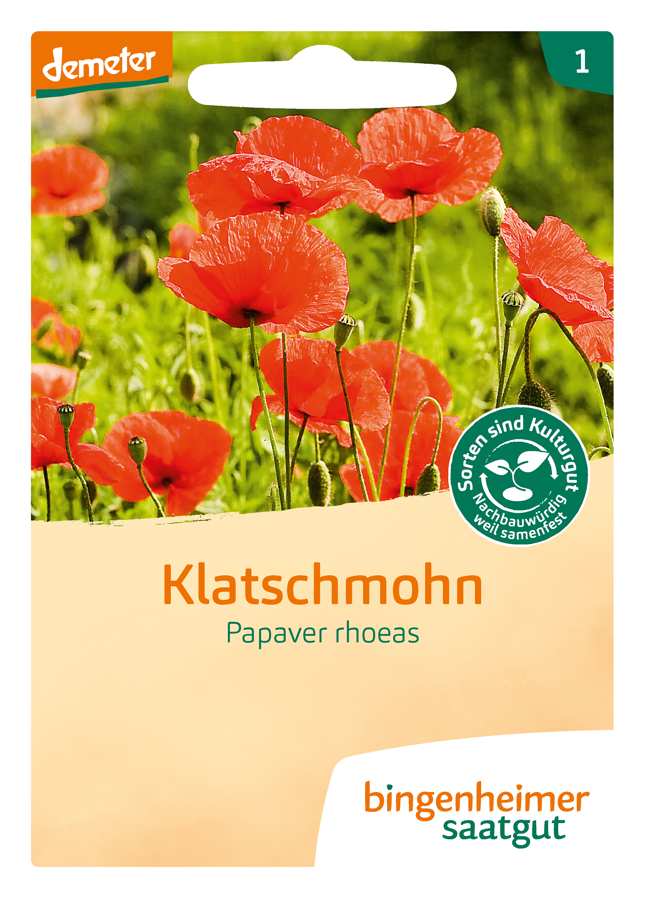 Klatschmohn