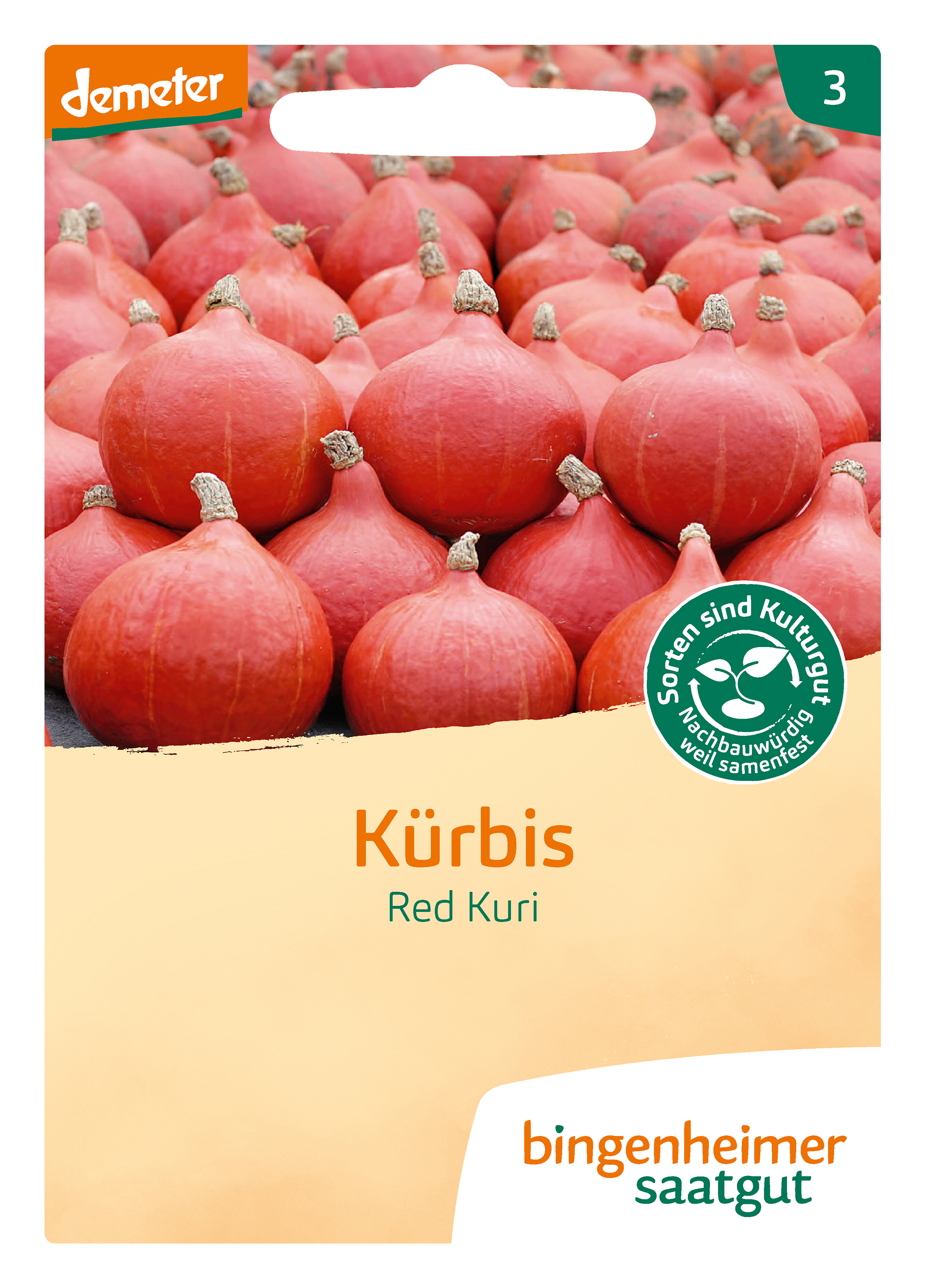 Kürbis Red Kuri